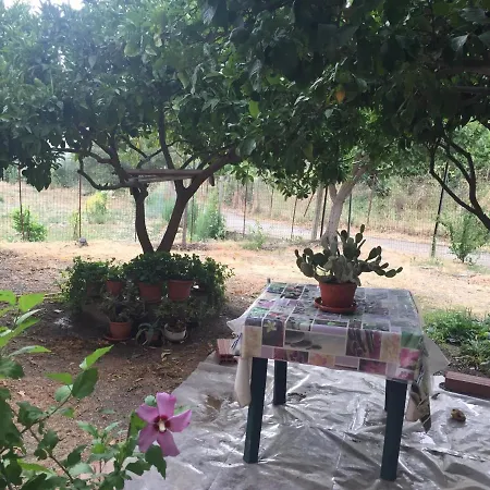 Apartment Brandino Pani *